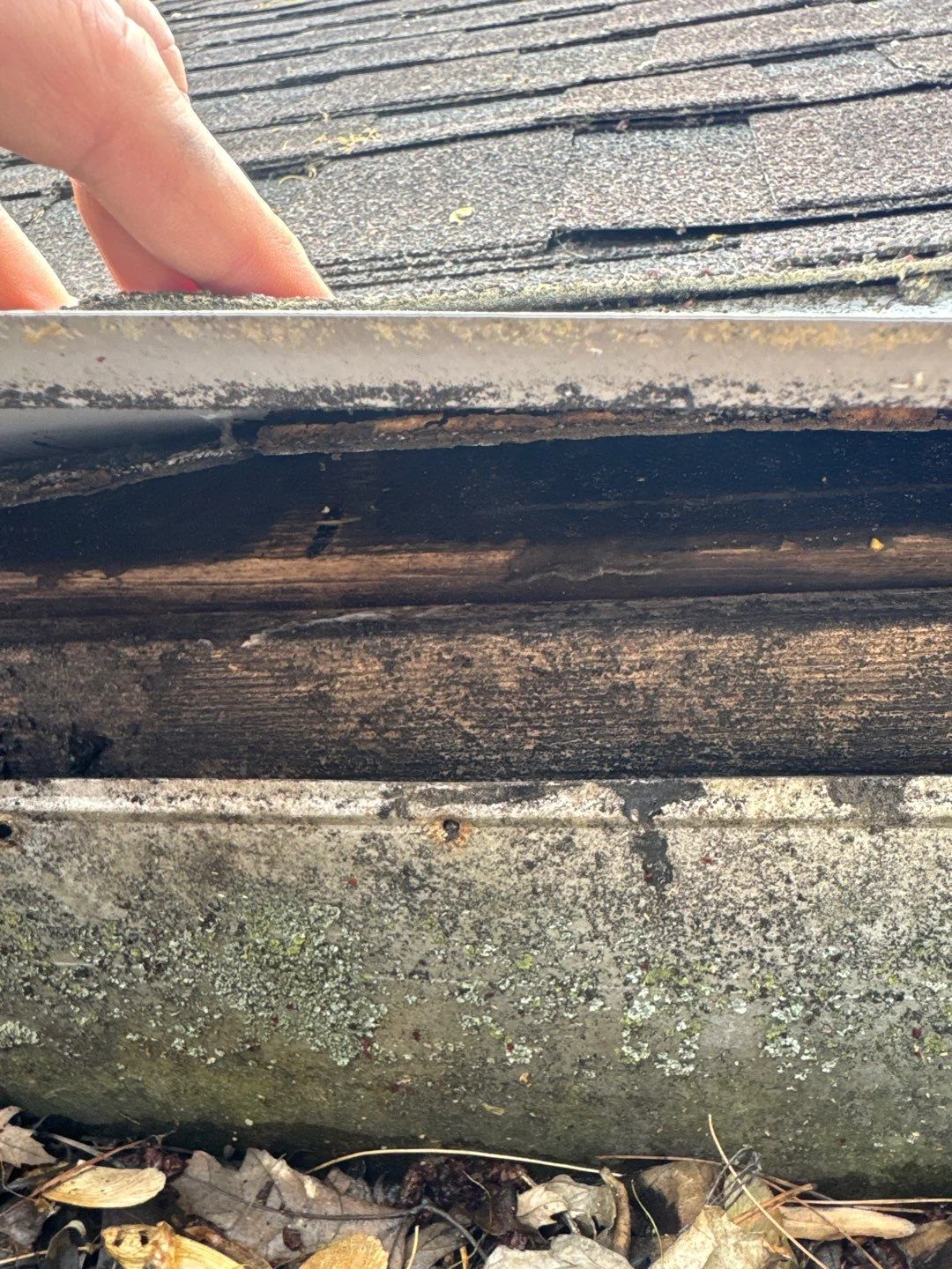 Metal Roof Care for Village of West Clay Homeowners